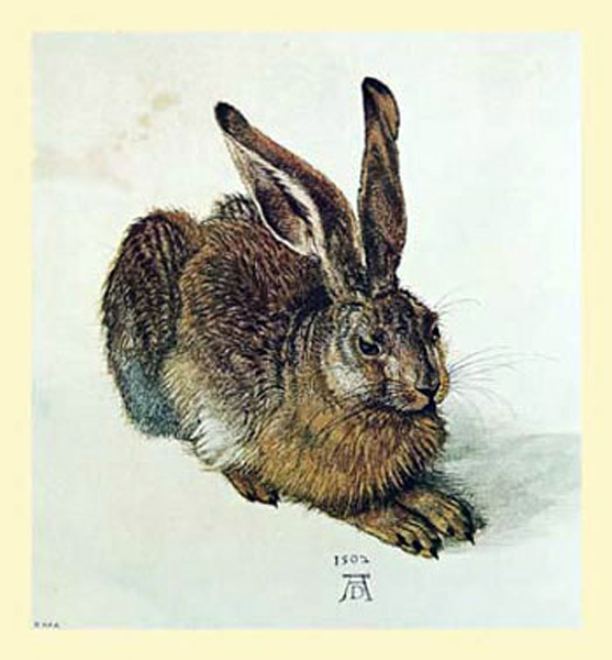 Durer,-the-hare.